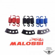 Kupplungsfedern Kupplung Set Malossi Race Delta MHR für Peugeot Piaggio Kymco 