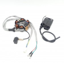 Lichtmaschine + CDI Zündspule für Piaggio NRG SAL1 MC2 MC3 NTT TPH 50 80 