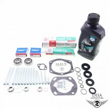 Motor Dichtsatz SKF Lager Schrauben Simmerring Set für Sachs 505 2 Gang 